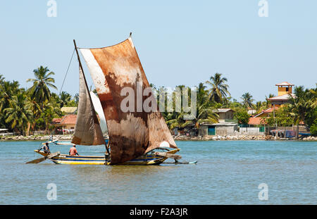 Oruwa, traditionellen Fischerboot auf dem Wasser, Negombo, Western Province, Indischer Ozean, Ceylon, Sri Lanka Stockfoto