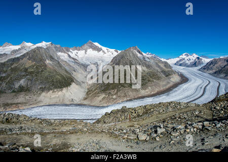 Grossen Aletschgletschers Panoramablick im Sommer vom Eggishorn, Eggishorn Bergstation, Berner Alpen, Wallis Stockfoto
