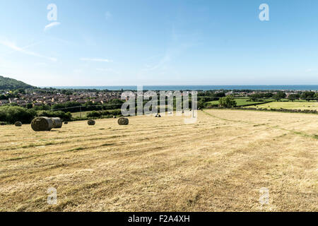 Heuballen, trocknen in der Sonne in Abergele Nord-Wales Stockfoto