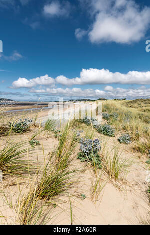 Morfa Conwy Strand Dünen an der Küste von North Wales mit Blick auf The Great Orme Llandudno und Deganwy Stockfoto