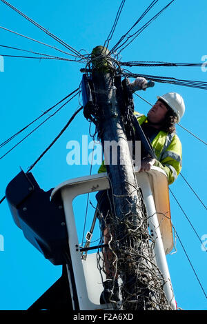 Telekom Techniker arbeiten an der Spitze der einen Telefonmast England uk Stockfoto