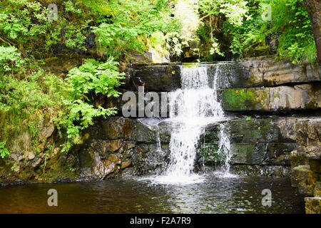 Wasserfall auf Bogen Lee Beck, Bowlees, Teesdale, England. Stockfoto