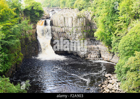 Hohe Kraft, Middleton in Teesdale, England. Englands höchster Wasserfall. Stockfoto