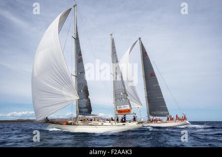 Maxi Yacht Rolex Cup 2015-Segel-Regatta. Porto Cervo, Sardinien, Italien Stockfoto