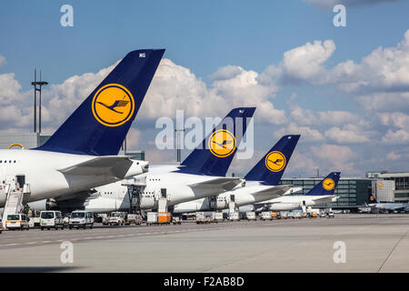 Lufthansa-Flugzeuge am Flughafen Frankfurt Stockfoto