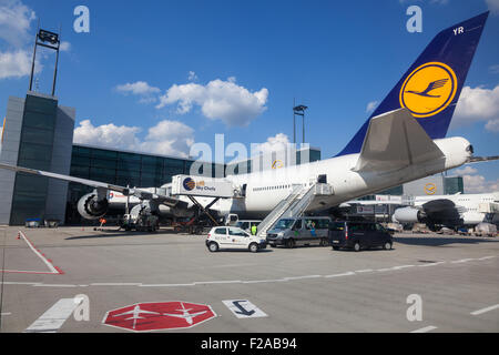 Lufthansa Boeing 747 am Tor in Frankfurt Flughafen Stockfoto