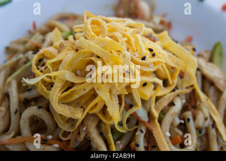 chinesische Udon-Nudeln mit Rindfleisch, Huhn Gemüse Stockfoto