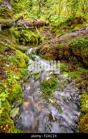 Cold Mountain Spring, Radium in British Columbia, Kanada Stockfoto