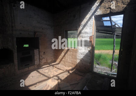 Innere des zerstörten historischen Ferienhaus am grünen Weizen Feld, in der Nähe von Moora Wheatbelt Region, Western Australia Stockfoto