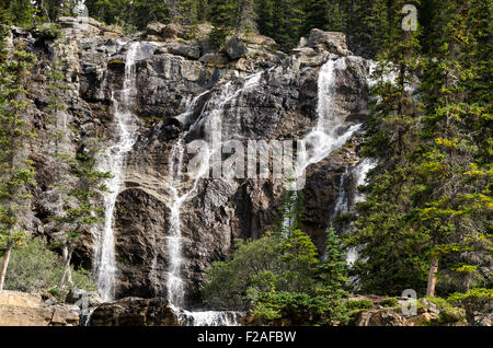 Tangle Creek Falls Sulla Icefield Parkway in Kanada Stockfoto