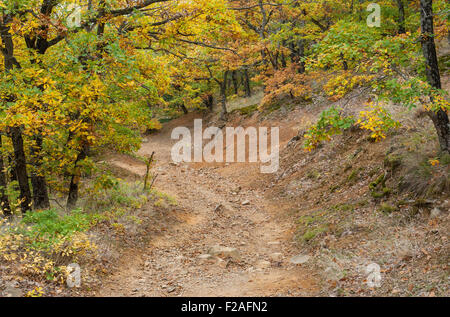 Steiniger Weg im Bergwald am Herbst Saison Krim-Halbinsel Stockfoto