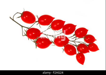 Cherry-Tomaten, isoliert auf weiss Stockfoto