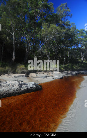 Abrahams Schoß Reserve, Currarong, Shoalhaven, Jervis Bay National Park, NSW, Australien Stockfoto