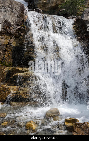 Tangle Creek Falls Sulla Icefield Parkway in Kanada Stockfoto