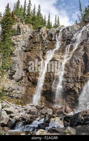 Tangle Creek Falls Sulla Icefield Parkway in Kanada Stockfoto