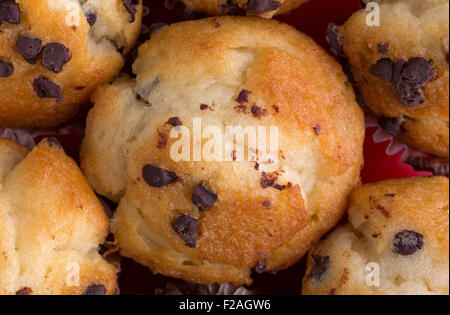 Frisch gebacken eine Nahaufnahme des kleinen chocolate Chip Muffins. Stockfoto