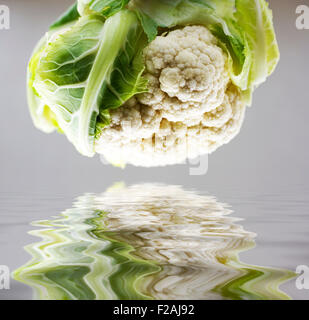 Eine Menge frischer Blumenkohl Wasser spiegeln Stockfoto