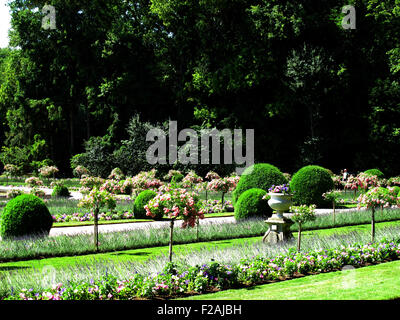 Château de Chenonceau, Catherine Garten, Loire-Tal, Fluss Cher, Indre-et-Loire, Touraine, Frankreich Stockfoto