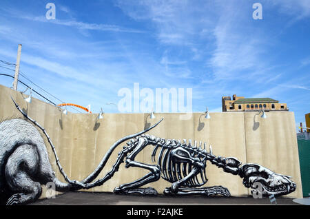 ROA Coney Kunst Wände Coney Island, brooklyn Stockfoto