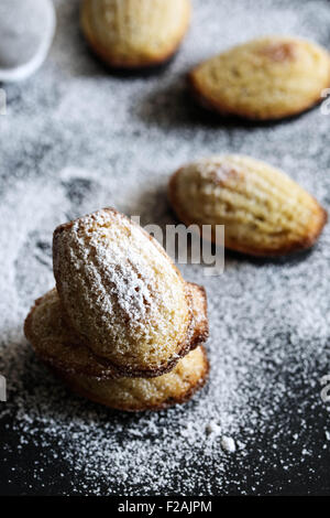 Frische hausgemachte Madeleines. Stockfoto