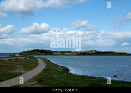 Straße zum Fyns Gearkasse Nature Reserve, Fünen, Dänemark Stockfoto