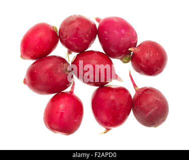 Eine kleine Gruppe von frische Radieschen isoliert auf einem weißen Hintergrund. Stockfoto