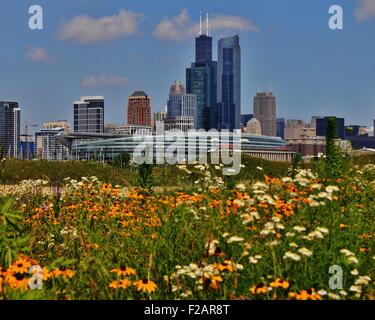 Dies ist Soldier Field in Chicago von neu renovierten nördlichste Insel im Sommer 2015 betrachtet. Stockfoto