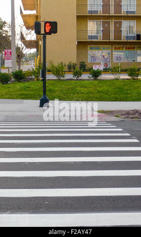 Zebrastreifen mit einem roten "warten" Signal in Orlando, Florida Stockfoto