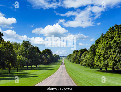 Long Walk Blick nach Süden, Windsor Great Park, Berkshire, England, UK Stockfoto