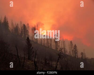 Kalifornien, USA. 14. September 2015. Das grobe Feuer in der Nähe von Hume Lake in der Sierra National Forest brennt als die Nacht hereinbricht 14. September 2015 in Fresno County, Kalifornien. Der Blitz verursacht Feuer wächst weiter und hat bereits 139.133 Hektar verbrannt. Stockfoto