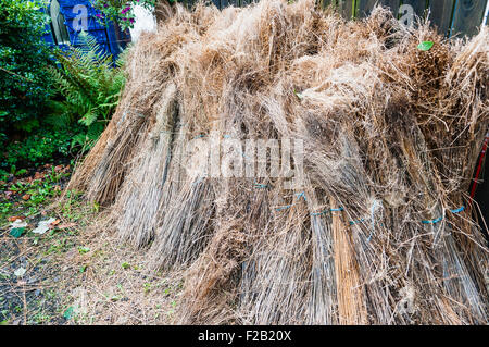 Bündel von Flachs an eine Leinenweberei. Stockfoto