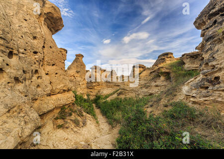 Hoodoos in den Badlands von Milk River Valley, schreiben-auf-Stein Provincial Park, Alberta, Kanada. Stockfoto