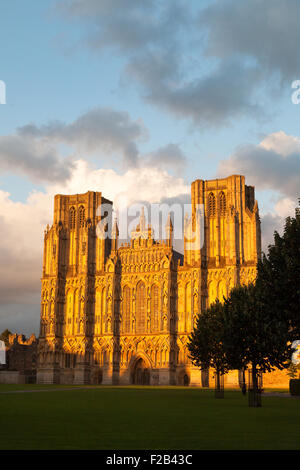 Die herrlichen mittelalterlichen Westen Front der Wells Cathedral bei Sonnenuntergang, Wells, Somerset England UK Stockfoto