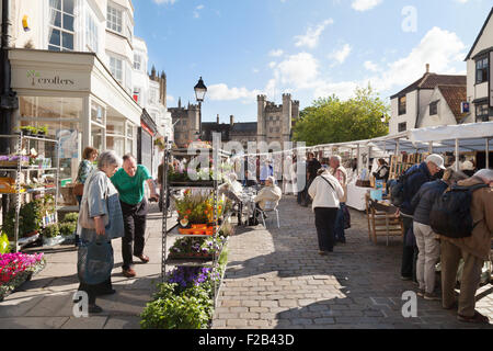 Brunnen-Markt auf dem Marktplatz, Wells, Somerset England UK Stockfoto