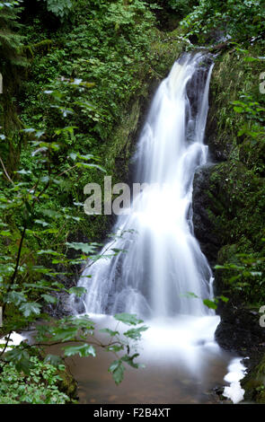 Langzeitbelichtung Wasserfall im Schwarzwald Deutschland Stockfoto