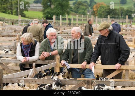 Hawes, North Yorkshire, UK. 14. September 2015. Die Ernte der Hügel erfolgt in den Wensleydale Markt Stadt Hawes, North Yorkshire wie Bauern auf der lokalen Viehmarkt der Auktion, Norden von England Maultier kaufen Gimmer Lämmer (weibliche Lämmer aus diesem Frühjahr) absteigen dieser Lämmer zur Zucht in ganz Großbritannien verkauft werden und sind das Rückgrat der Länder Schaf-Produktion. Rund 30.000 Lämmer werden in 2 Tagen verkauft und der Verkauf kann Pause machen oder das landwirtschaftliche Jahr. Bildnachweis: Wayne HUTCHINSON/Alamy Live-Nachrichten Stockfoto