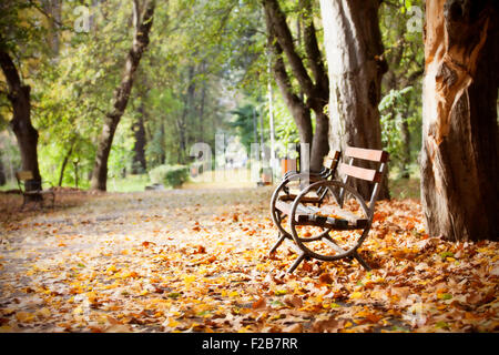 Holzbank im Herbst Park - alte photo Stockfoto