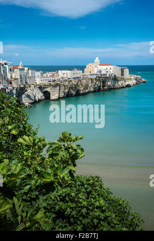 Die alte Stadt von Vieste auf dem Gargano Halbinsel, Apulien, Süditalien Stockfoto