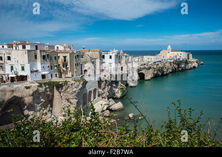 Die alte Stadt von Vieste auf dem Gargano Halbinsel, Apulien, Süditalien Stockfoto