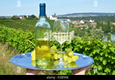 Wein und Trauben gegen Rhein rive und Weinberge in Rheinau, Schweiz Stockfoto