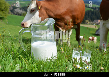 Milch und Kühe. Region Emmental, Schweiz Stockfoto