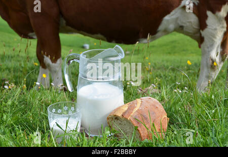 Milch und Kühe. Region Emmental, Schweiz Stockfoto