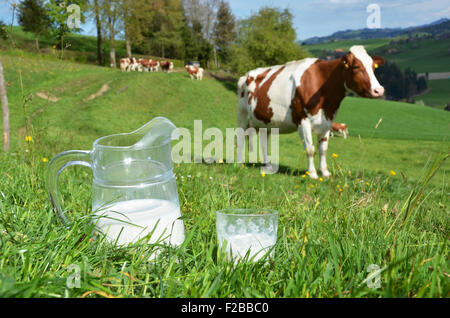 Milch und Kühe. Region Emmental, Schweiz Stockfoto