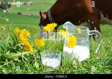 Milch und Kühe. Region Emmental, Schweiz Stockfoto