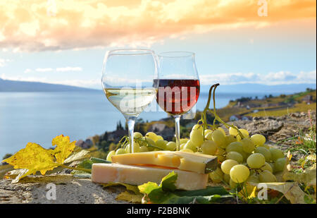 Wein, Käse und Trauben auf der Terrasse des Weingut in der Region Lavaux, Schweiz Stockfoto