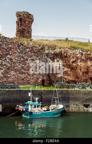 Die Leith registriert Fischerboot "Tangaroa" in Dunbar Harbour, East Lothian, Schottland, mit den Ruinen von Dunbar Castle hinter. Stockfoto