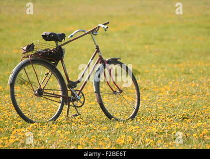 Altes Fahrrad im Feld Stockfoto