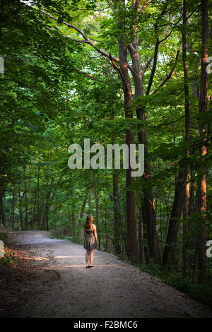 Kleine Figur der jungen Frau Weg im dunklen Wald mit großen Bäume, die bis zum Abend Sonnenschein beleuchtet Stockfoto