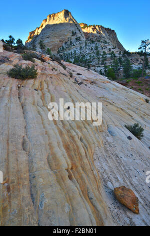 Blick entlang der Parkstraße, Highway 9, im Osten Canyon von Zion Nationalpark im Südwesten von Utah Stockfoto