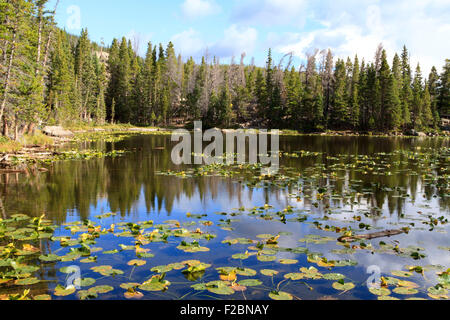 Nymphe See, Rocky Mountain Nationalpark, Colorado Stockfoto